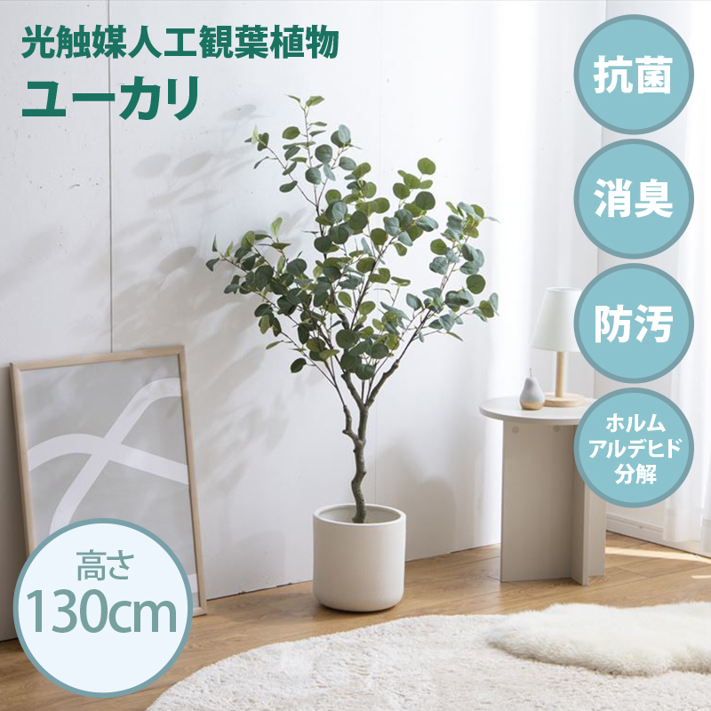 光触媒人工観葉植物 fake green ユーカリ (約)幅80cm×奥行50cm×高さ130cm 照明光で消臭・抗菌・防汚・ホルムアルデヒド分解の効果を発揮 フェイクグリーン