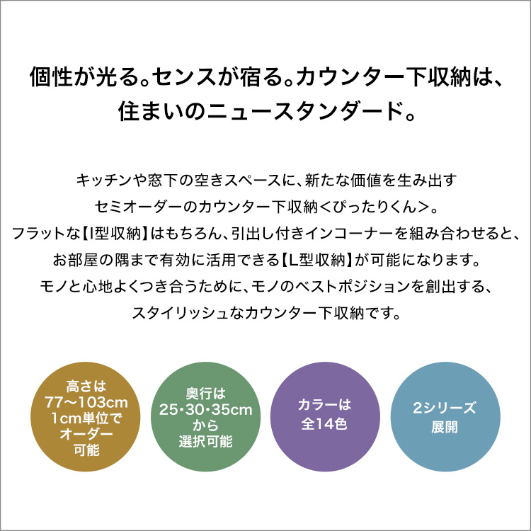 カウンター下収納 扉タイプ セミオーダー 日本製 開梱設置つき 全14色 ぴったりくん キャビネット 幅120cm×奥行30cmの画像