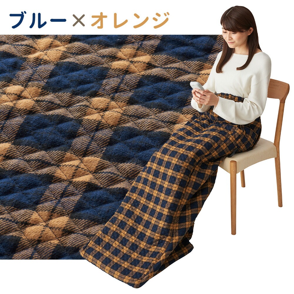 椙山紡織 電気毛布 小さい あったか 脚入れヒーター SB22AH20 足温器