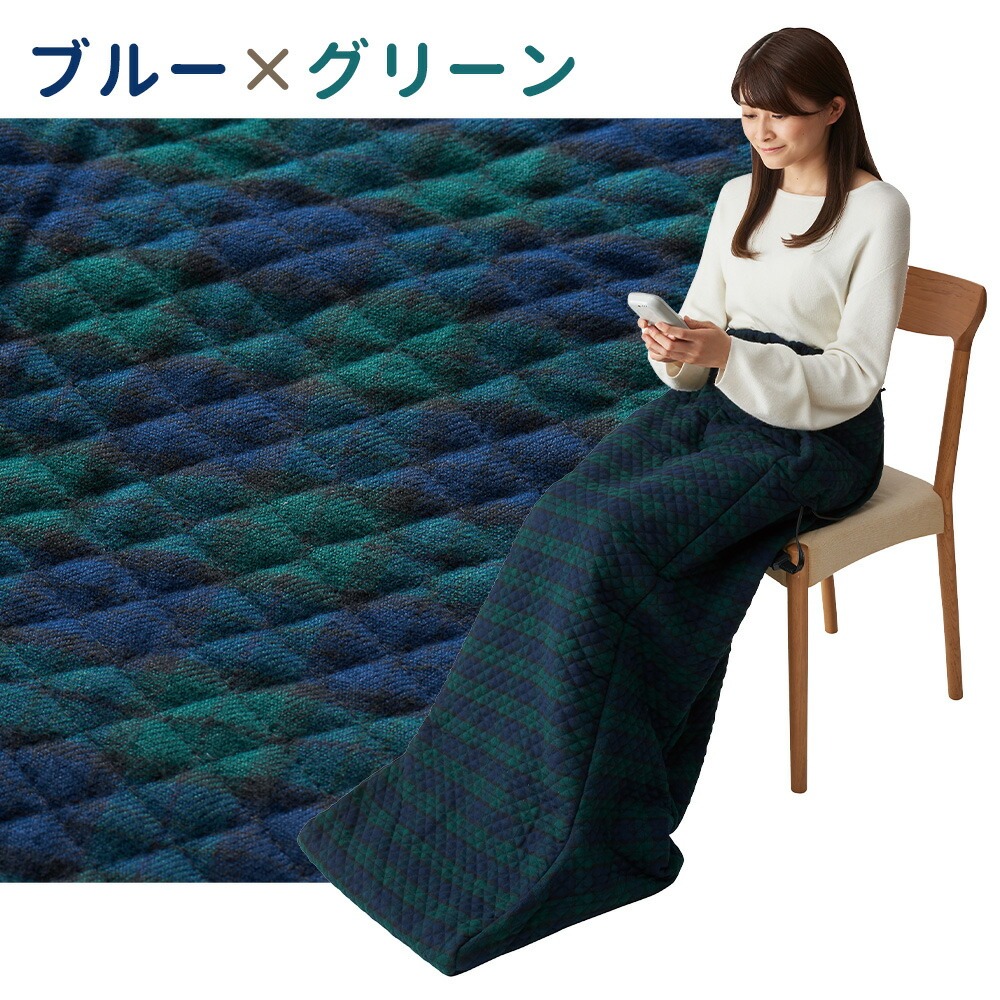 椙山紡織 電気毛布 小さい あったか 脚入れヒーター SB22AH20 足温器
