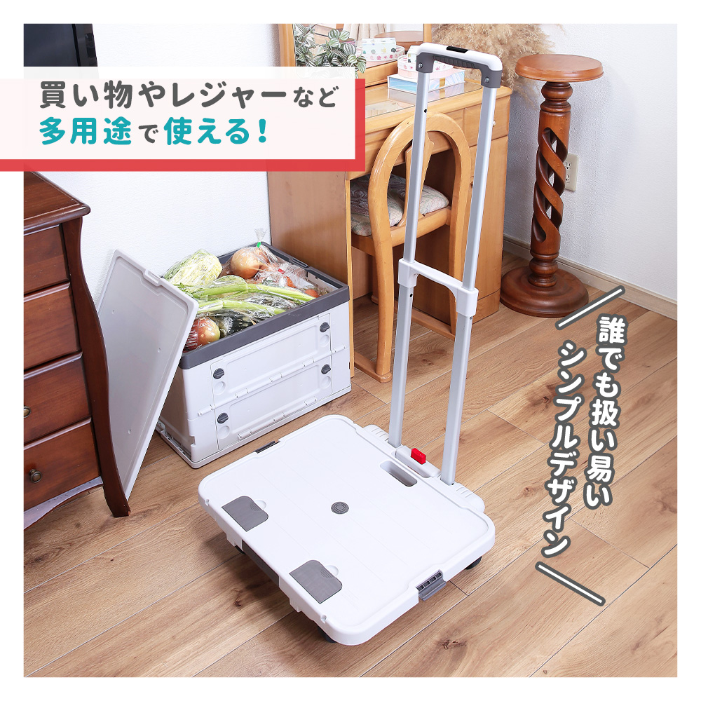 折りたたみ 台車 専用コンテナ付 家庭用 コンパクト 耐荷重60kg