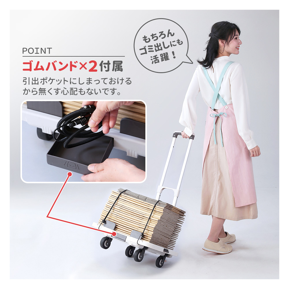 折りたたみ 台車 家庭用 コンパクト 耐荷重60kg キャリーカート ハンド