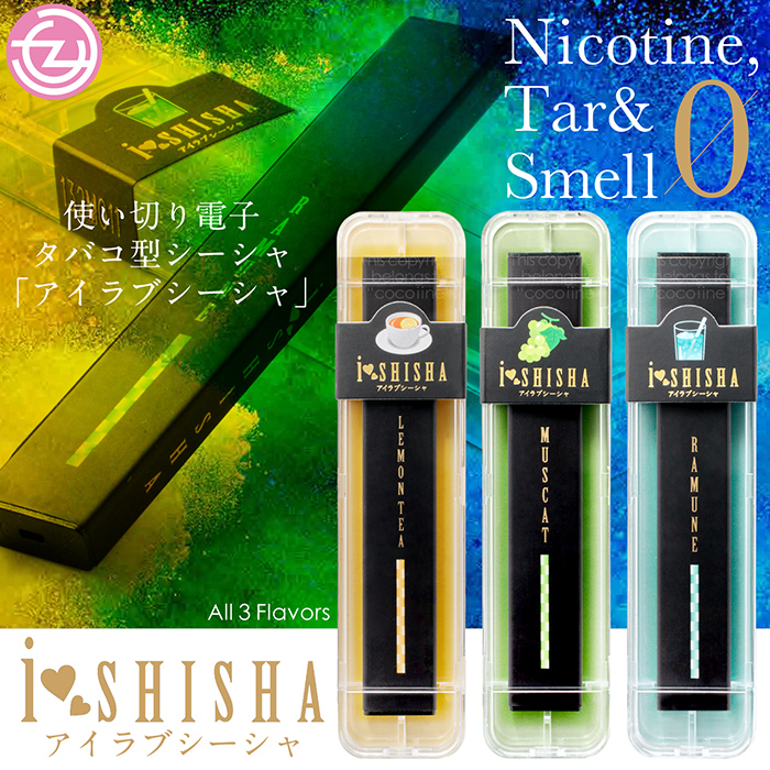 f-ishisha_1.jpg