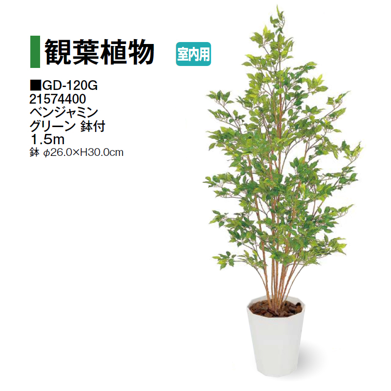 人工観葉植物 インテリア エバーフレッシュ 展示品(O-2601FB15) タカショー (室内用) 人工植物 観葉植物 エバーフレッシュ 1.5m (GD