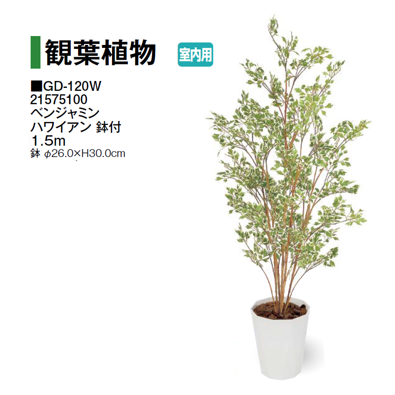 タカショー 【室内用】 人工植物 観葉植物 エバーフレッシュ 1.5m (GD