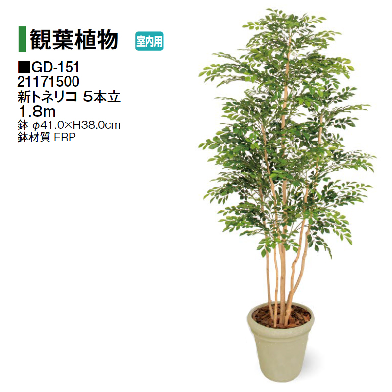 タカショー 【室内用】 人工植物 観葉植物 新トネリコ 5本立 1.8m