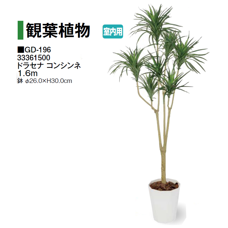 タカショー 【室内用】 人工植物 観葉植物 ドラセナ コンシンネ 1.6m