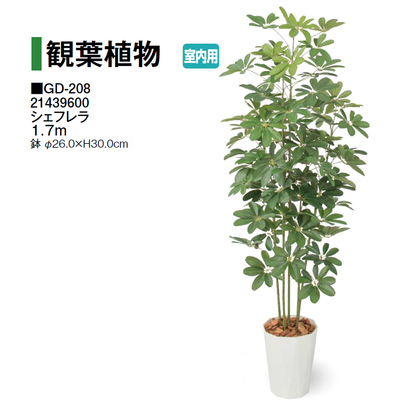 タカショー (室内用) 人工植物 観葉植物 アオキ鉢付 1.5m (GD-130