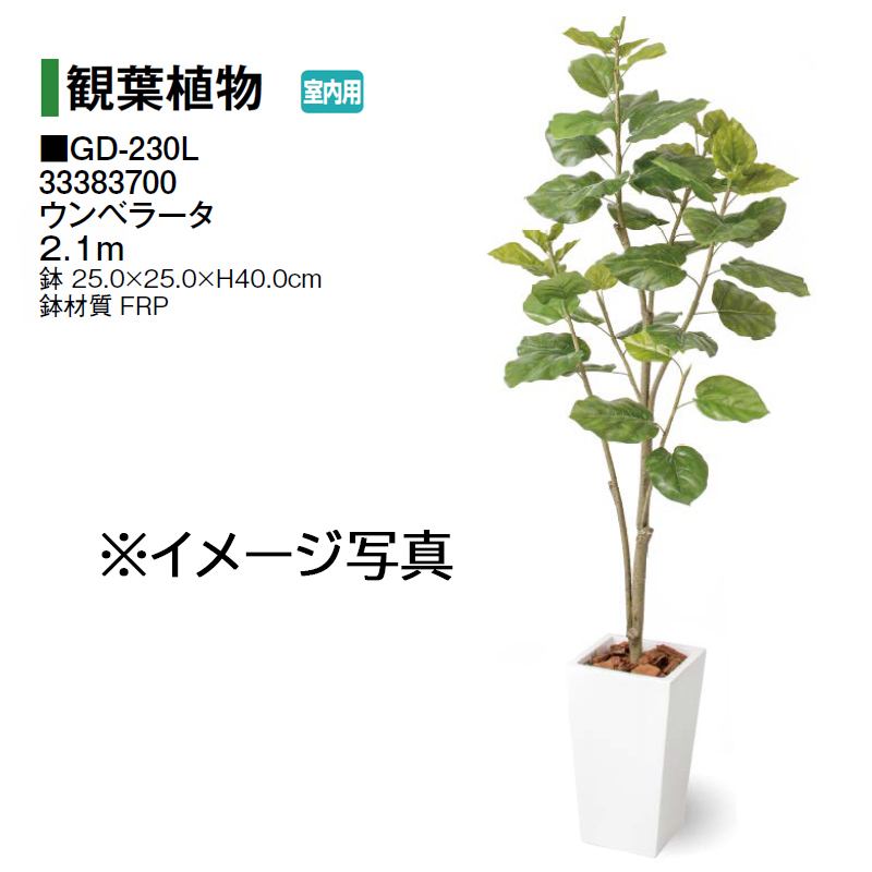 タカショー 【室内用】 人工植物 観葉植物 ベンジャミン 立木 5本立