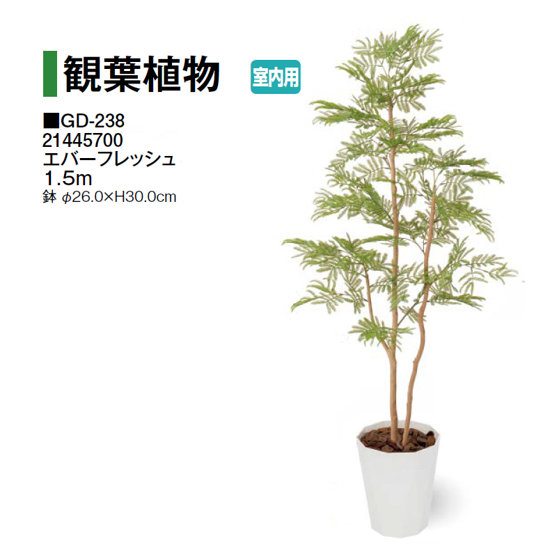 タカショー (室内用) 人工植物 観葉植物 エバーフレッシュ 1.5m (GD