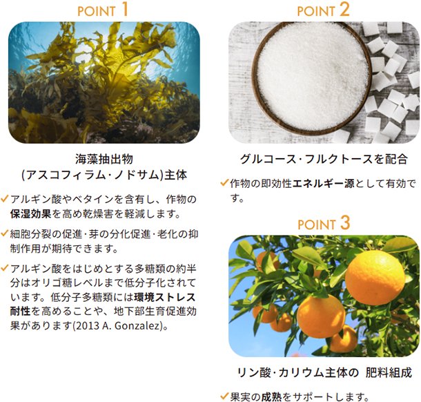 アルガミックス 1L入×12本 algamix 花・果実の乾燥・塩ストレスの軽減