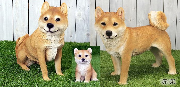 即発送可能 柴犬ペアーに子柴付き 赤柴ファミリー リアル 置物 Qy 53 Qy 22 Qy 39 人気新品