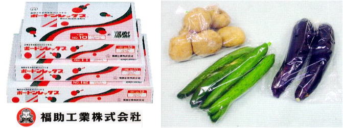 福助工業 (6000枚入) 野菜袋 ボードンレックス #20 0.02 No.10 4穴