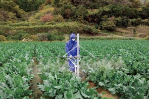 薬剤散布　カードジェッター　直接取引 薬剤散布 カードジェッター 直接取引 【公式通販】