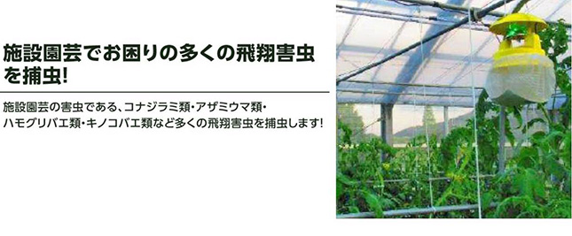 スマートキャッチャー II CLF-700 日本製　1台 みのる産業 スマートキャッチャーII CLF-700 吸引式LED捕虫器 防滴型