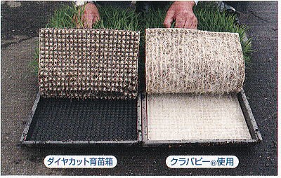 三菱 (100枚セット) カルネッコSF 28cm×58cm 育苗用下敷紙 三菱