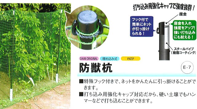 徳用100本セット) 防獣杭 φ25×2100mm 第一ビニール (イノシシ、鹿、狸 徳用100本セット) 防獣杭 φ25×2100mm 第一ビニール (イノシシ、鹿、狸