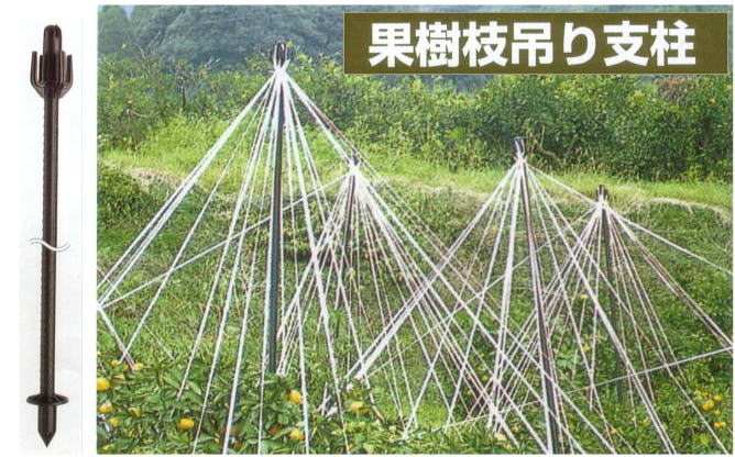 100個入) 枝吊キャップ 33mm セキスイ イボ竹用 枝吊りキャップ 積水