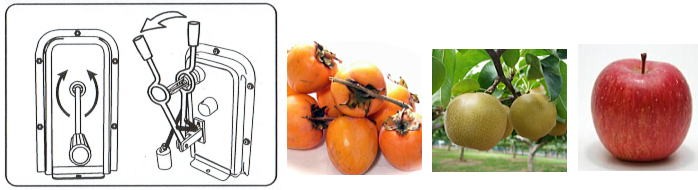 有名ブランド柿の皮むき機 K501 かんたん電動 皮むき器 柿 K-501 （ヘタ取り刃付） 家庭用 (zmcoi) 飲食、厨房用 