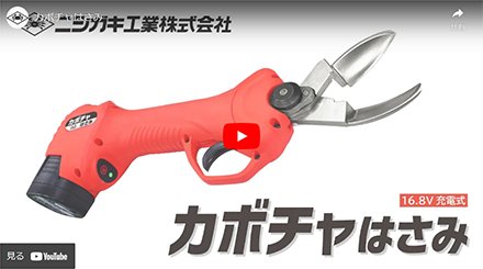 キャプチャー　新品未使用❗ Amazon | ニシガキ工業(Nishigaki Industrial) カボチャはさみ 収穫