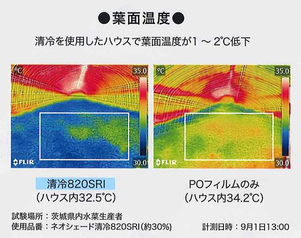 イノベックス (個人宅配送不可) 遮光ネット ダイオネオシェード清冷