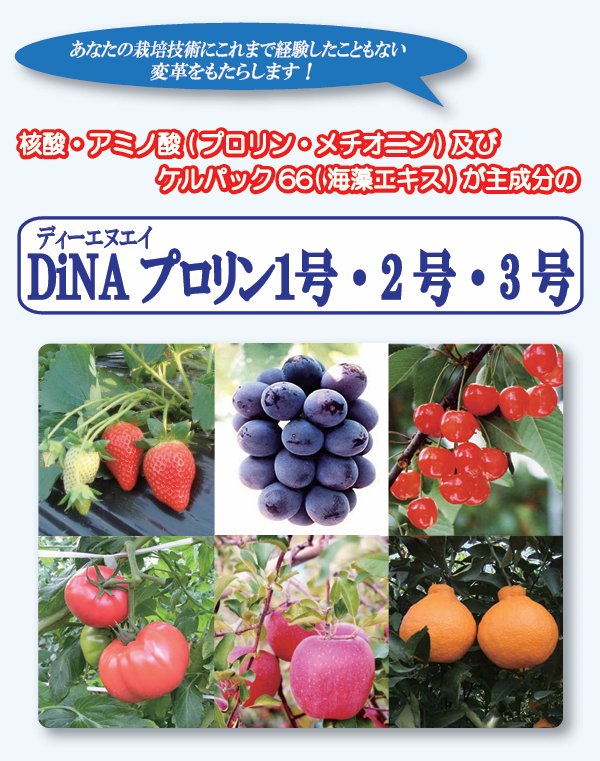 ケロリン DiNAプロリン1号 1L入り×15個セット 核酸、アミノ酸(プロリン