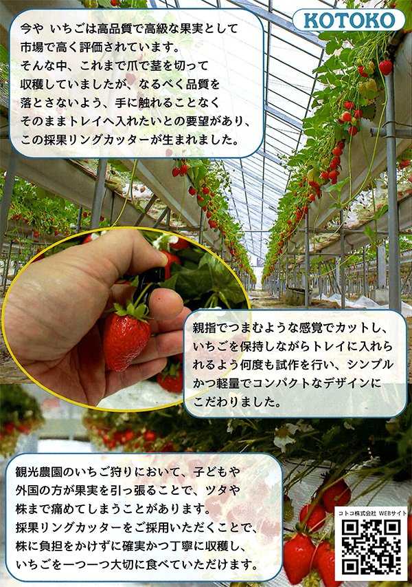 1ケース2000個入) KOTOKO 採果リングカッター(金属刃) K-3330 果実の