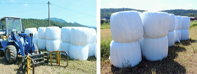モーラップ Moo WRAP 0.025mm×500mm×1800m 白 牧草用フィルム