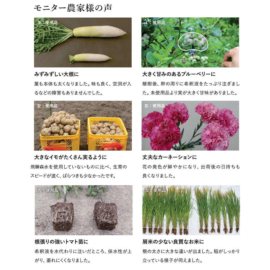 12本) 飛騨森水 1L 東海グローバルグリーニング ｜100倍希釈 バイオ