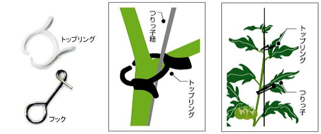 手数料安い 誘引資材 誘引紐 つりっ子紐 トマト用 750m 4巻セット ナスニックス 送料無料 Technet 21 Org