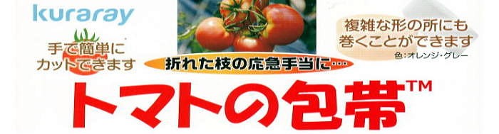 10巻セット) トマトの包帯 オレンジ 25mm幅×5m 手でちぎる 伸縮性