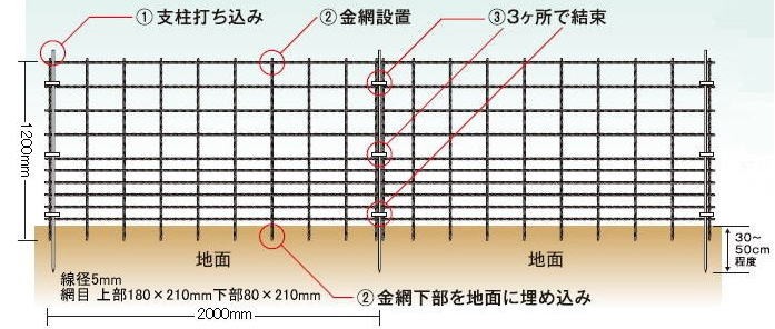 楽天市場】防獣ネット 鹿用 網目10cm 幅2m 長さ50m 3枚入 380d×72 青 東京戸張 防獣 ネット 獣害対策 シカ イノシシ 東戸  代引不可 : 農業用品販売のプラスワイズ