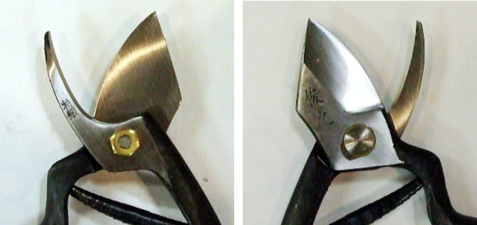 俊之作　弘前剪定鋏　未使用長期保管品 在庫有り) 山形 手造り 弘前 俊之作 LL型 剪定鋏 7吋 花楯製鋏