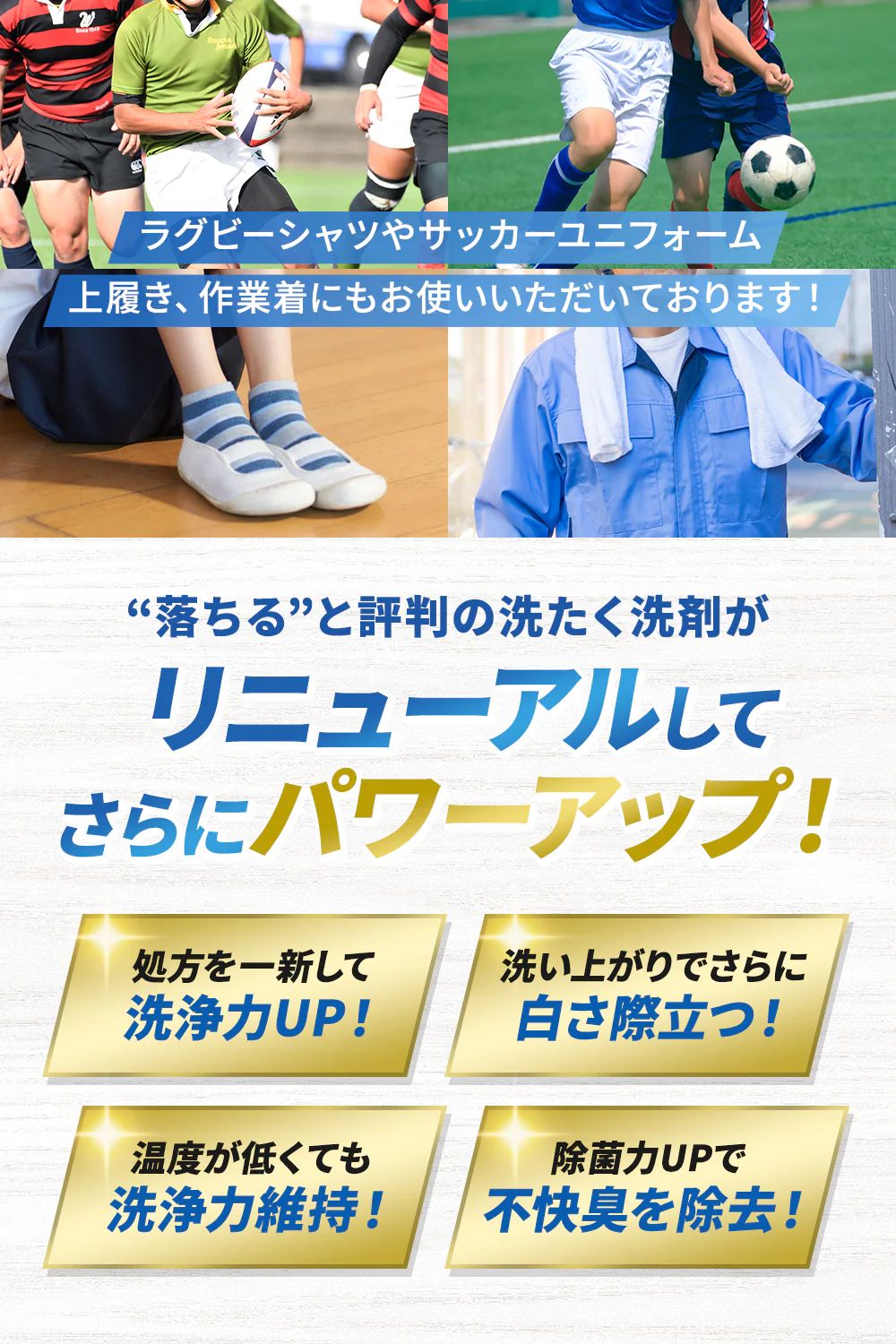 レギュラー 洗剤