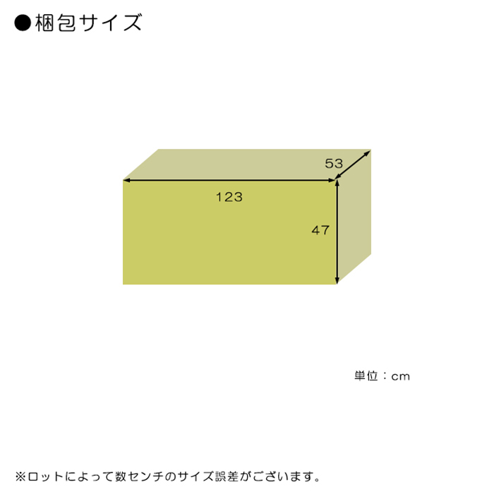 横長リビングチェスト ローチェスト コンパクト 幅120cm 2段 小物収納