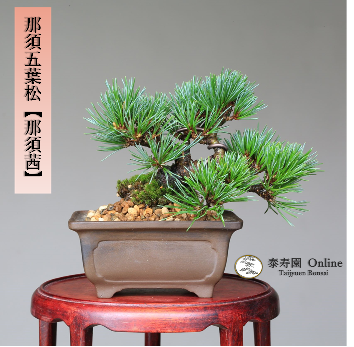 泰寿園 Online