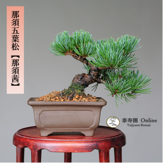 泰寿園 Online