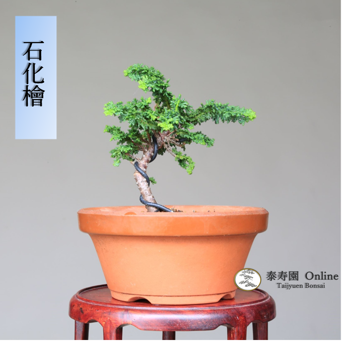 泰寿園 Online