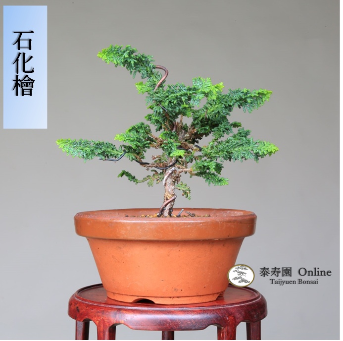 泰寿園 Online