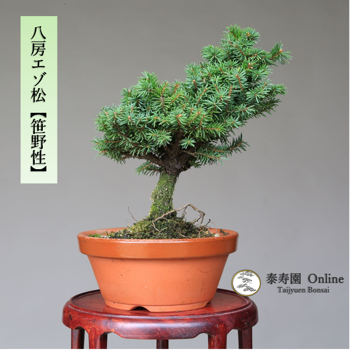 泰寿園 Online