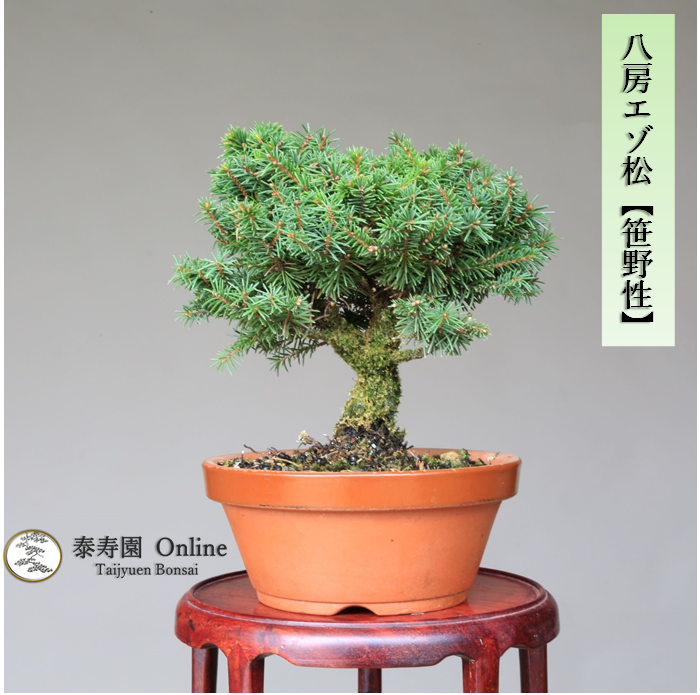 泰寿園 Online