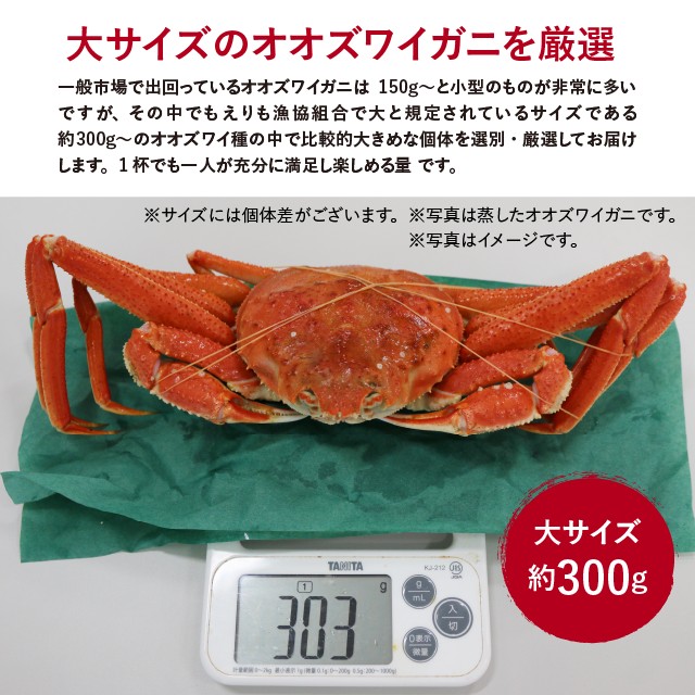 生オオズワイガニ 北海道産 訳あり 約2kg 大サイズ （1杯あたり約300g