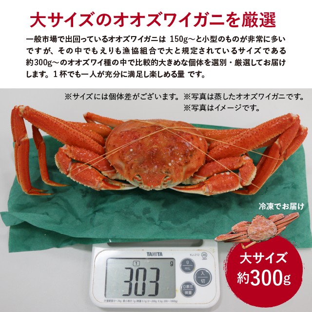 蒸しオオズワイガニ 北海道産 訳あり 約1kg 大サイズ （1杯あたり約