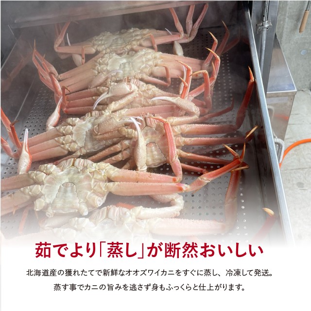 蒸しオオズワイガニ 北海道産 訳あり 約1kg 大サイズ （1杯あたり約
