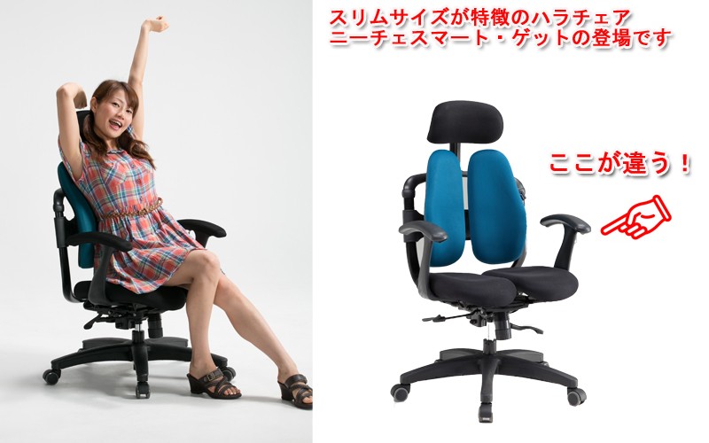 Hara Chair（ハラチェア ハラチェアー）ニーチェ スマート・ゲット