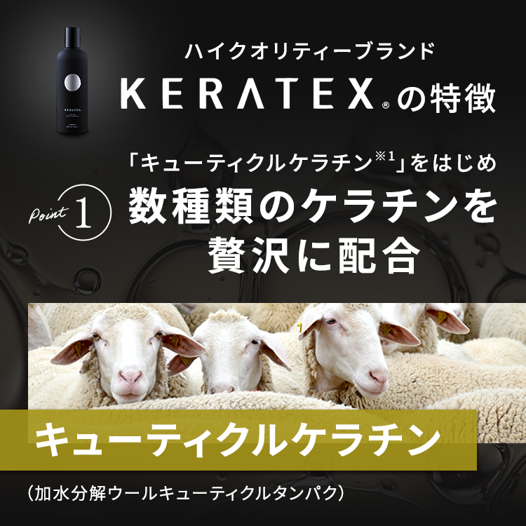 HAHONICO（ハホニコ） ケラテックス ファイバー シャンプー 1000ml +