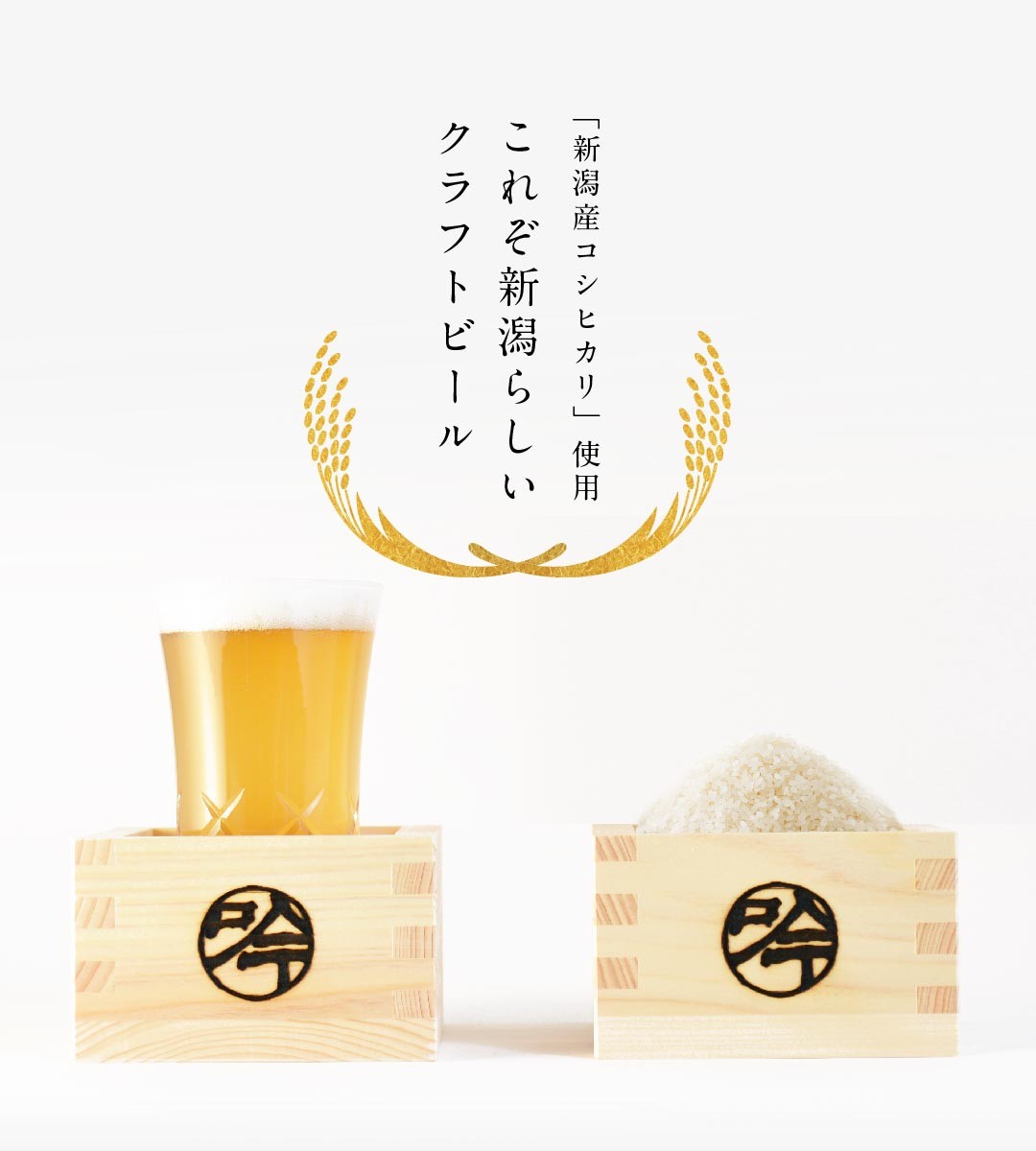「新潟産コシヒカリ」使用 これぞ新潟らしいクラフトビール
