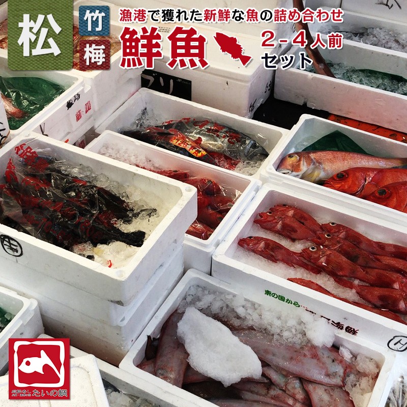 朝獲れ鮮魚お試しセット 2-4人前 とれたて新鮮魚介 魚の詰め合わせ 下