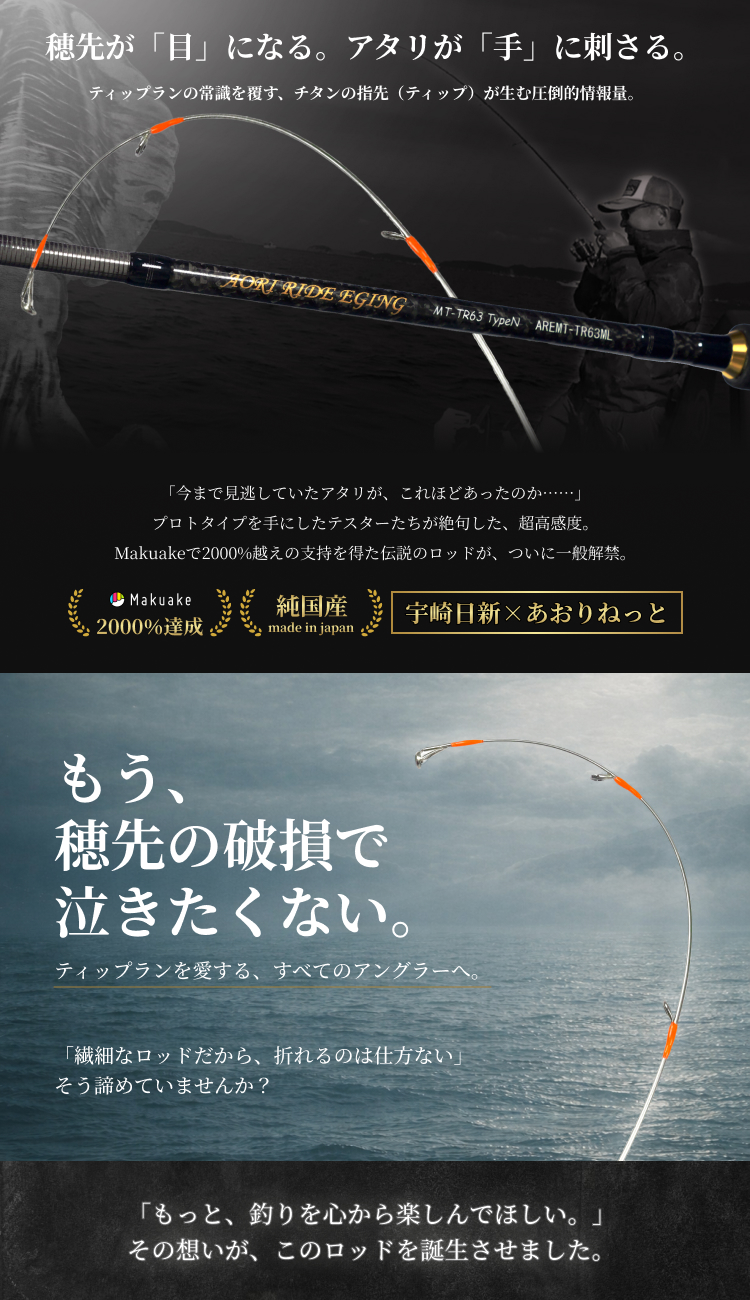 宇崎日新 あおりねっと アオリライド エギングMT-TR63 タイプN（メタル