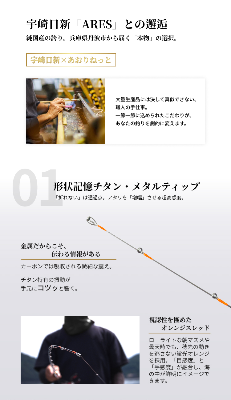 宇崎日新 あおりねっと アオリライド エギングMT-TR63 タイプN（メタル